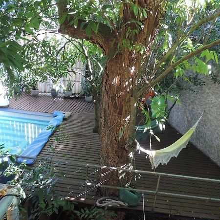 ريو دي جانيرو B&B Vitoria Regia المظهر الخارجي الصورة